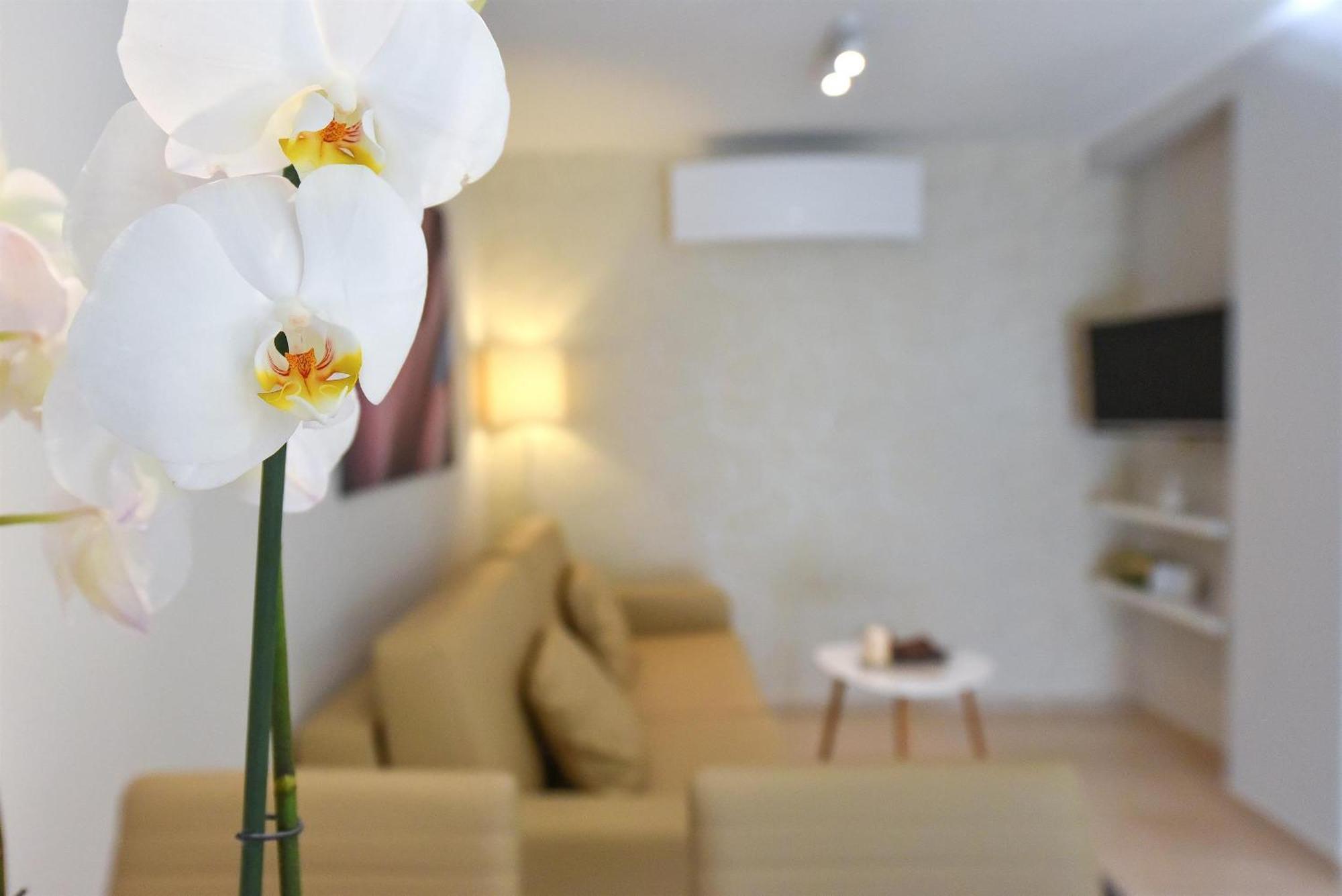 Villa Slavica 1 فوديس الغرفة الصورة