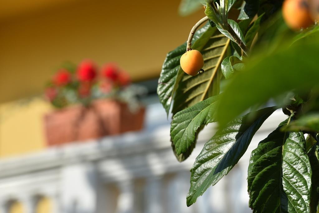 Villa Slavica 1 فوديس المظهر الخارجي الصورة
